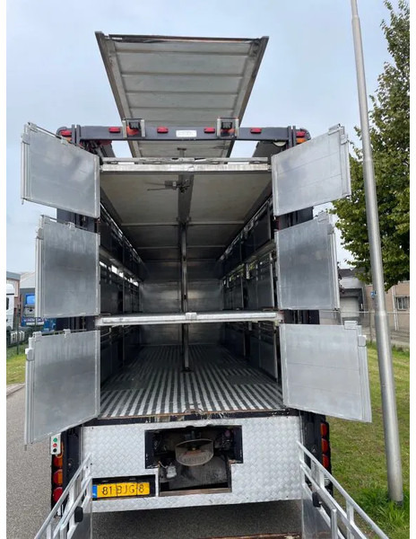 DAF XF 460 2017 berdex 3 lagen varkens - Truk pengangkut hewan: gambar 3 DAF XF 460 2017 berdex 3 lagen varkens - Truk pengangkut hewan: gambar 3
