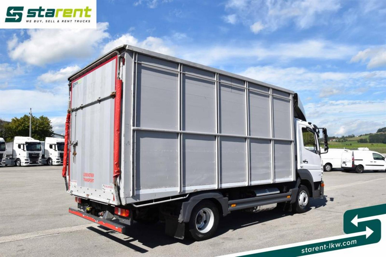 Mercedes Benz 818 Viehtransporter Scheuwimmer Aufbau - Truk pengangkut hewan: gambar 5 Mercedes Benz 818 Viehtransporter Scheuwimmer Aufbau - Truk pengangkut hewan: gambar 5
