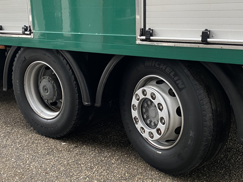 Truk sampah Mercedes-Benz Econic 2633 PLATZ Mülltonnenwaschanlage: gambar 11