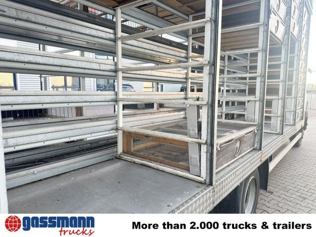 Mercedes-Benz LK 817 4x2, Taubentransporter - Truk box: gambar 2 Mercedes-Benz LK 817 4x2, Taubentransporter - Truk box: gambar 2