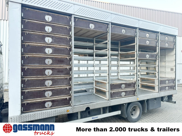 Mercedes-Benz LK 817 4x2, Taubentransporter - Truk box: gambar 4 Mercedes-Benz LK 817 4x2, Taubentransporter - Truk box: gambar 4