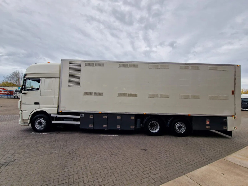 DAF XF 440 SuperSpaceCab 6x2*4 - 2 deck Closed Livestock - 40M2 - Filtersystem - Truk pengangkut hewan: gambar 4 DAF XF 440 SuperSpaceCab 6x2*4 - 2 deck Closed Livestock - 40M2 - Filtersystem - Truk pengangkut hewan: gambar 4