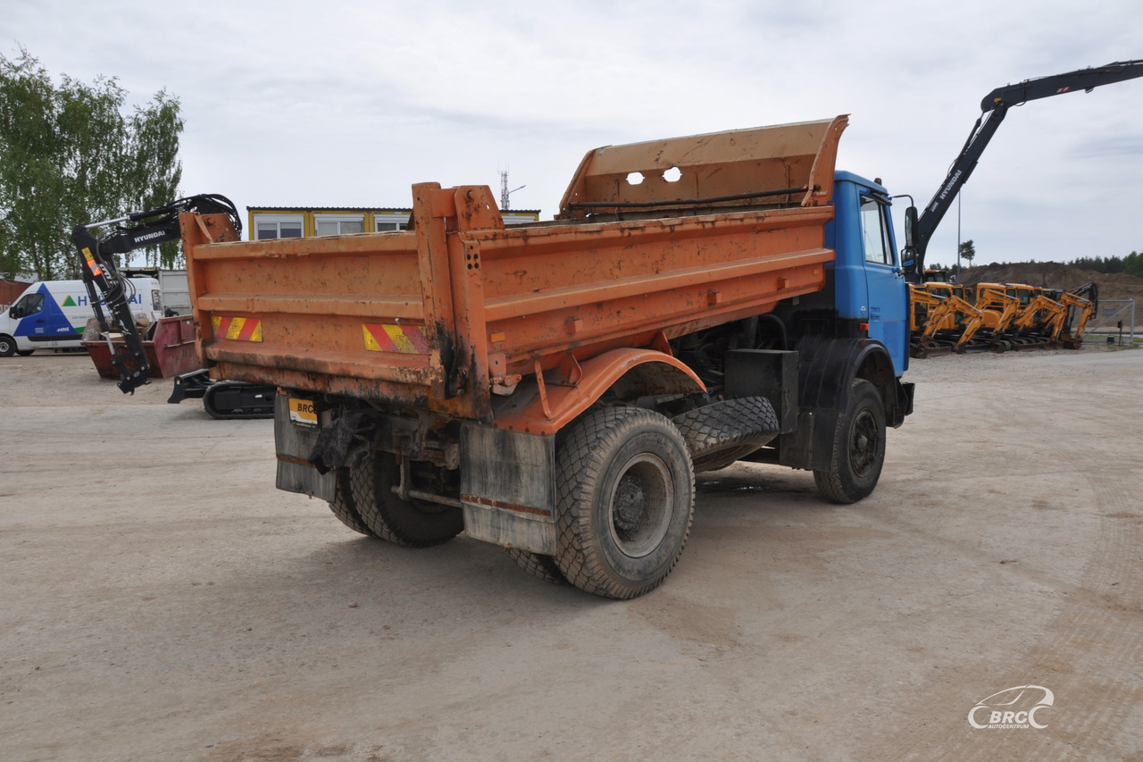 MAZ 5551 - Truk jungkit: gambar 5 MAZ 5551 - Truk jungkit: gambar 5