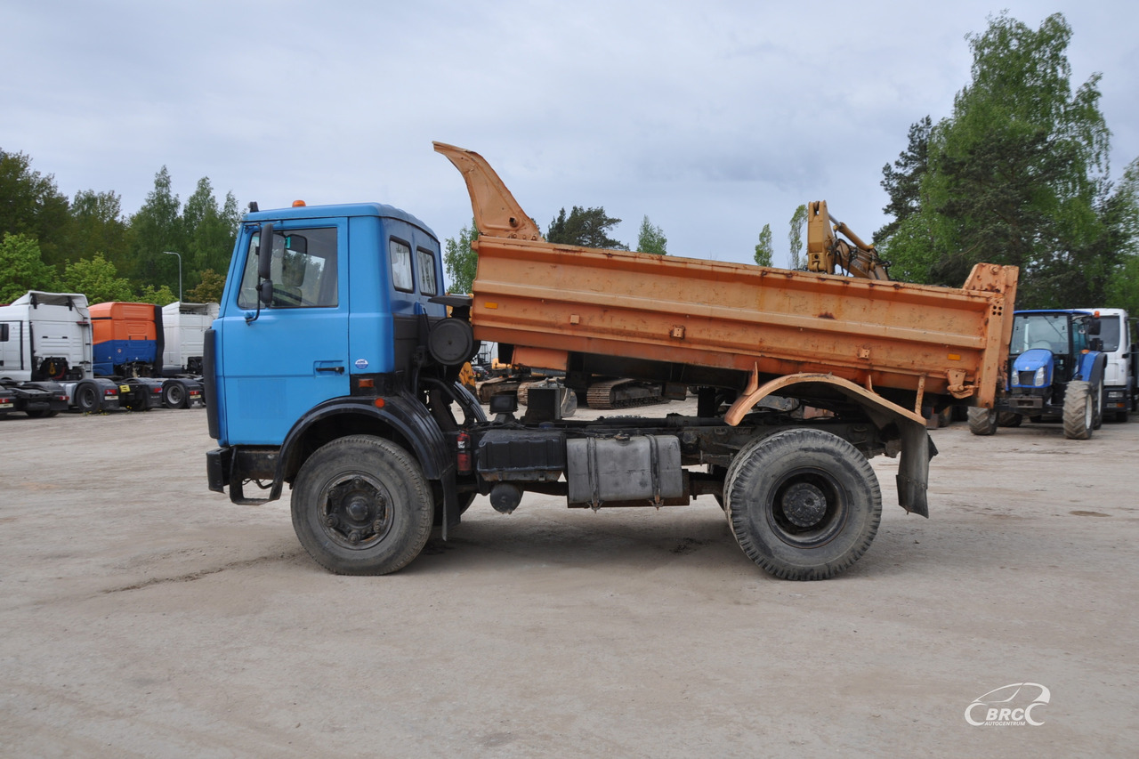 MAZ 5551 - Truk jungkit: gambar 3 MAZ 5551 - Truk jungkit: gambar 3