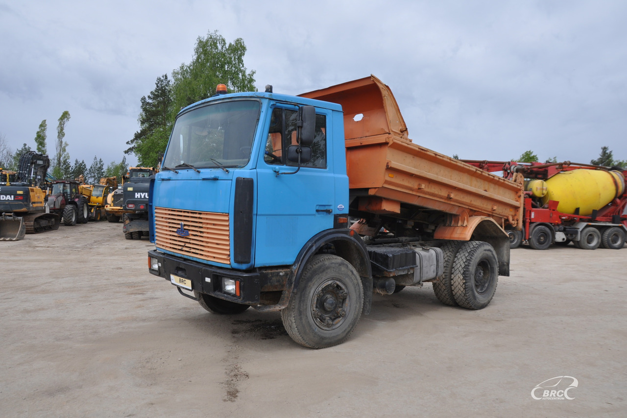 MAZ 5551 - Truk jungkit: gambar 1 MAZ 5551 - Truk jungkit: gambar 1