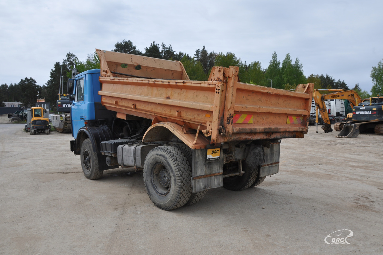 MAZ 5551 - Truk jungkit: gambar 4 MAZ 5551 - Truk jungkit: gambar 4