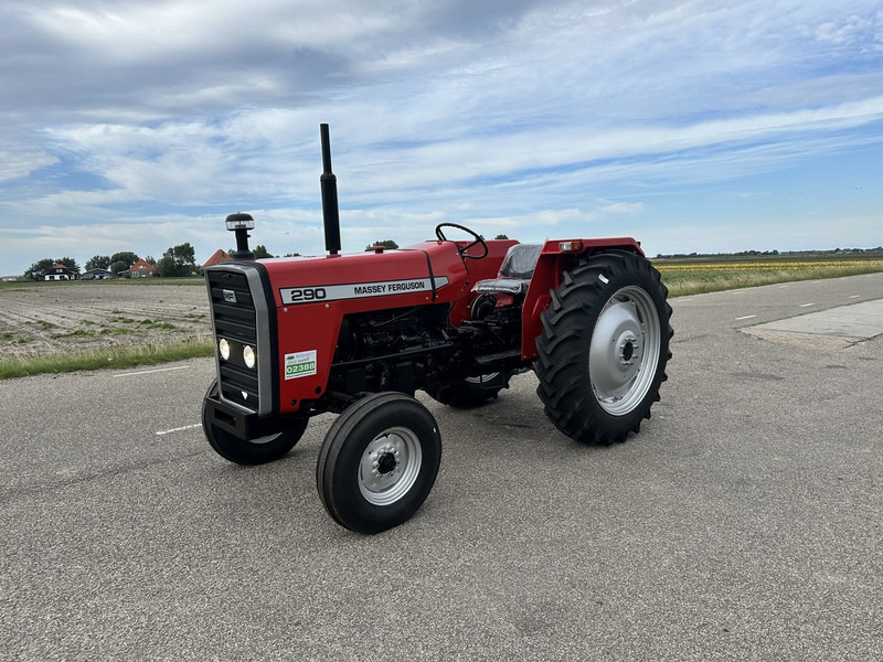 Massey Ferguson 290 - Traktor: gambar 1 Massey Ferguson 290 - Traktor: gambar 1