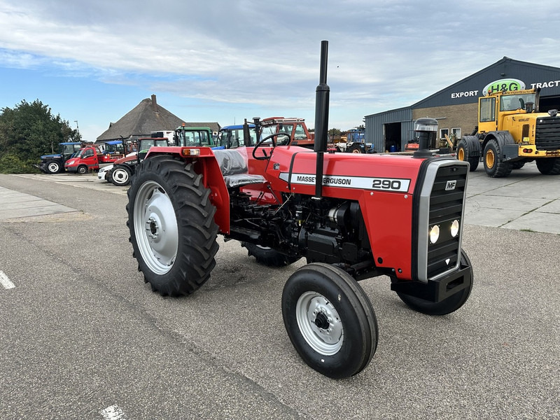 Massey Ferguson 290 - Traktor: gambar 3 Massey Ferguson 290 - Traktor: gambar 3