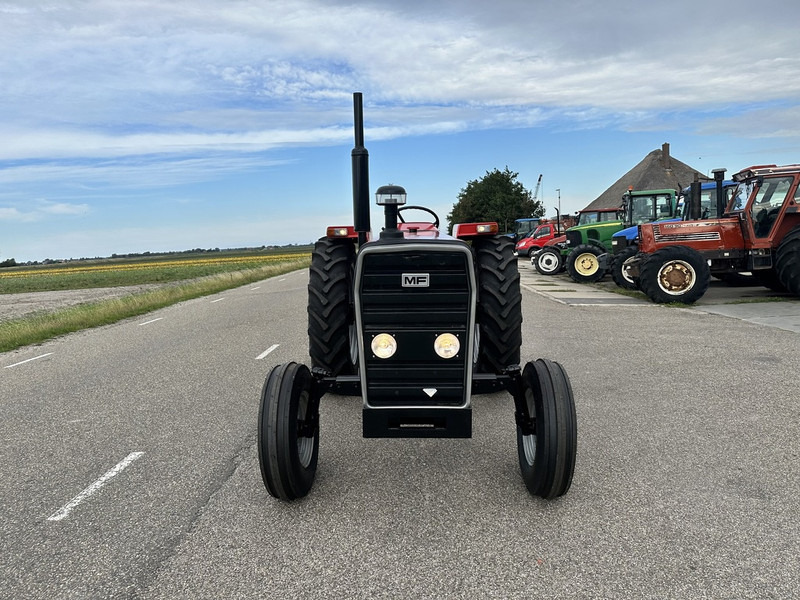 Massey Ferguson 290 - Traktor: gambar 2 Massey Ferguson 290 - Traktor: gambar 2