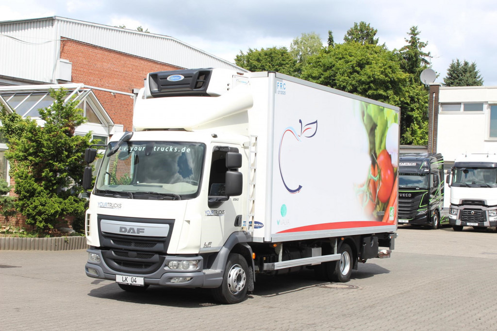 Daf LF 260 E6 Carrier Supra 550 Strom Tür LBW - Truk berpendingin: gambar 1 Daf LF 260 E6 Carrier Supra 550 Strom Tür LBW - Truk berpendingin: gambar 1
