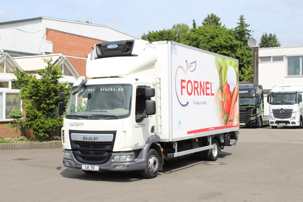 Daf LF 260 E6 Carrier Supra 550 Strom Tür LBW - Truk berpendingin: gambar 1 Daf LF 260 E6 Carrier Supra 550 Strom Tür LBW - Truk berpendingin: gambar 1