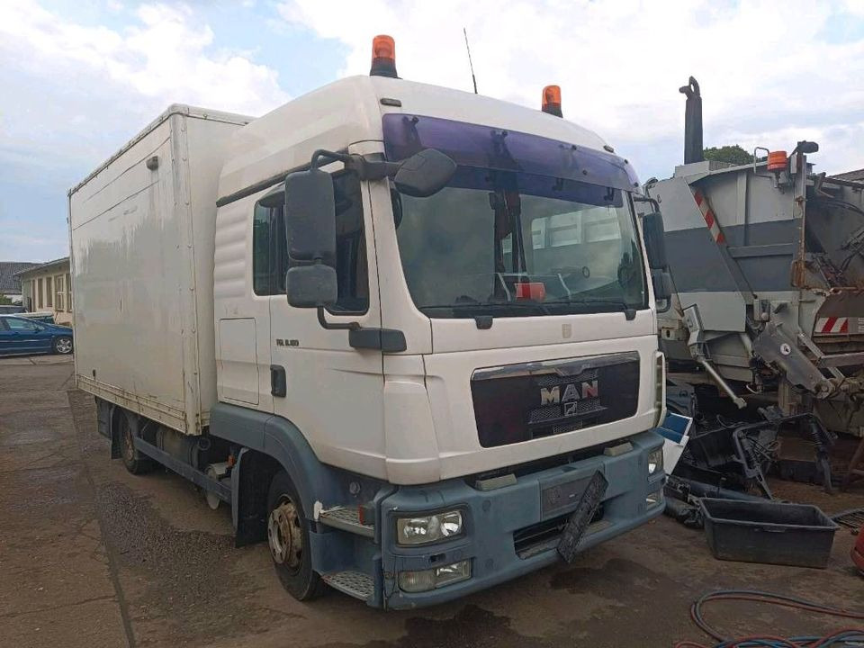 Kabine MAN TGL TGM Fernverkehr - Kabin untuk Truk: gambar 1 Kabine MAN TGL TGM Fernverkehr - Kabin untuk Truk: gambar 1