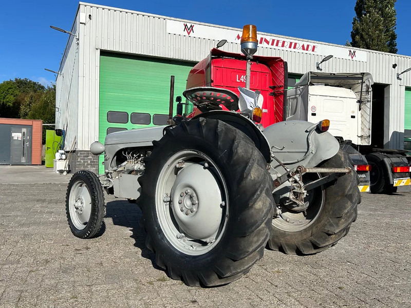 Traktor Diversen FERGUSON tractor: gambar 11