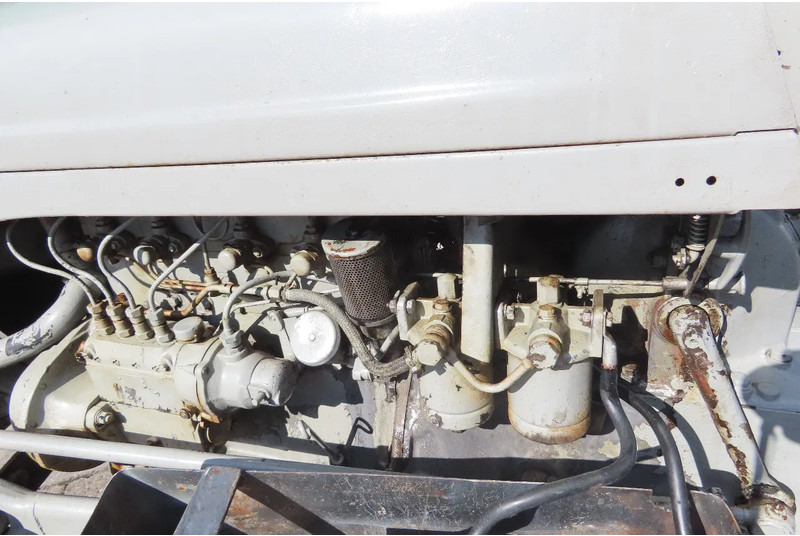 Traktor Diversen FERGUSON tractor: gambar 8