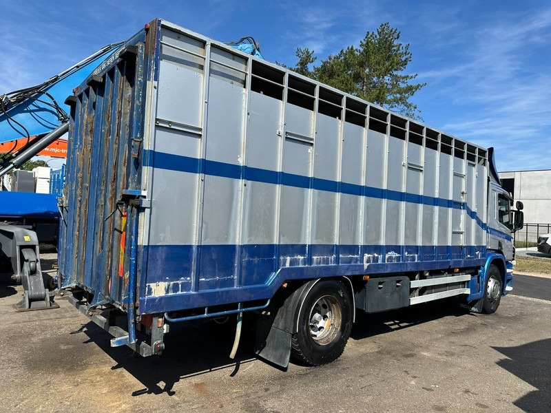 Scania P310 4x2 LIVESTOCK / VEEWAGEN / TIERTRANSPORT / BETAILLERE - ALU BOX 7m - MANUAL - A/C - BELGIAN TRUCK - Truk pengangkut hewan: gambar 5 Scania P310 4x2 LIVESTOCK / VEEWAGEN / TIERTRANSPORT / BETAILLERE - ALU BOX 7m - MANUAL - A/C - BELGIAN TRUCK - Truk pengangkut hewan: gambar 5