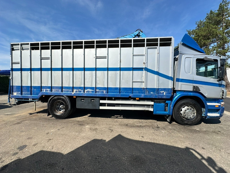 Scania P310 4x2 LIVESTOCK / VEEWAGEN / TIERTRANSPORT / BETAILLERE - ALU BOX 7m - MANUAL - A/C - BELGIAN TRUCK - Truk pengangkut hewan: gambar 4 Scania P310 4x2 LIVESTOCK / VEEWAGEN / TIERTRANSPORT / BETAILLERE - ALU BOX 7m - MANUAL - A/C - BELGIAN TRUCK - Truk pengangkut hewan: gambar 4