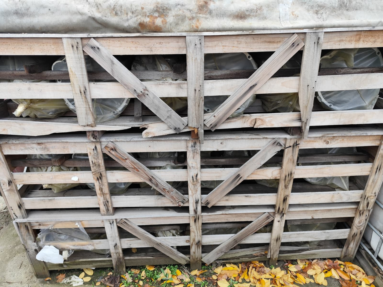 HYUNDAI DYMOS T032S5 - Gearbox untuk Truk: gambar 4 HYUNDAI DYMOS T032S5 - Gearbox untuk Truk: gambar 4