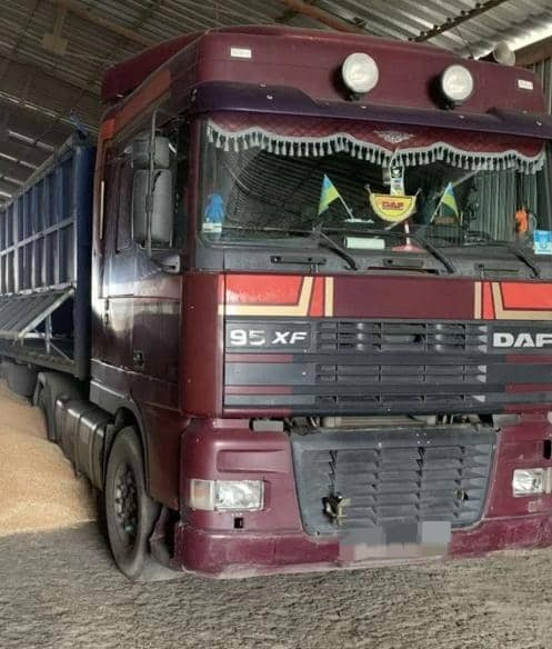 DAF XF 95 - Tractor head: gambar 5 DAF XF 95 - Tractor head: gambar 5