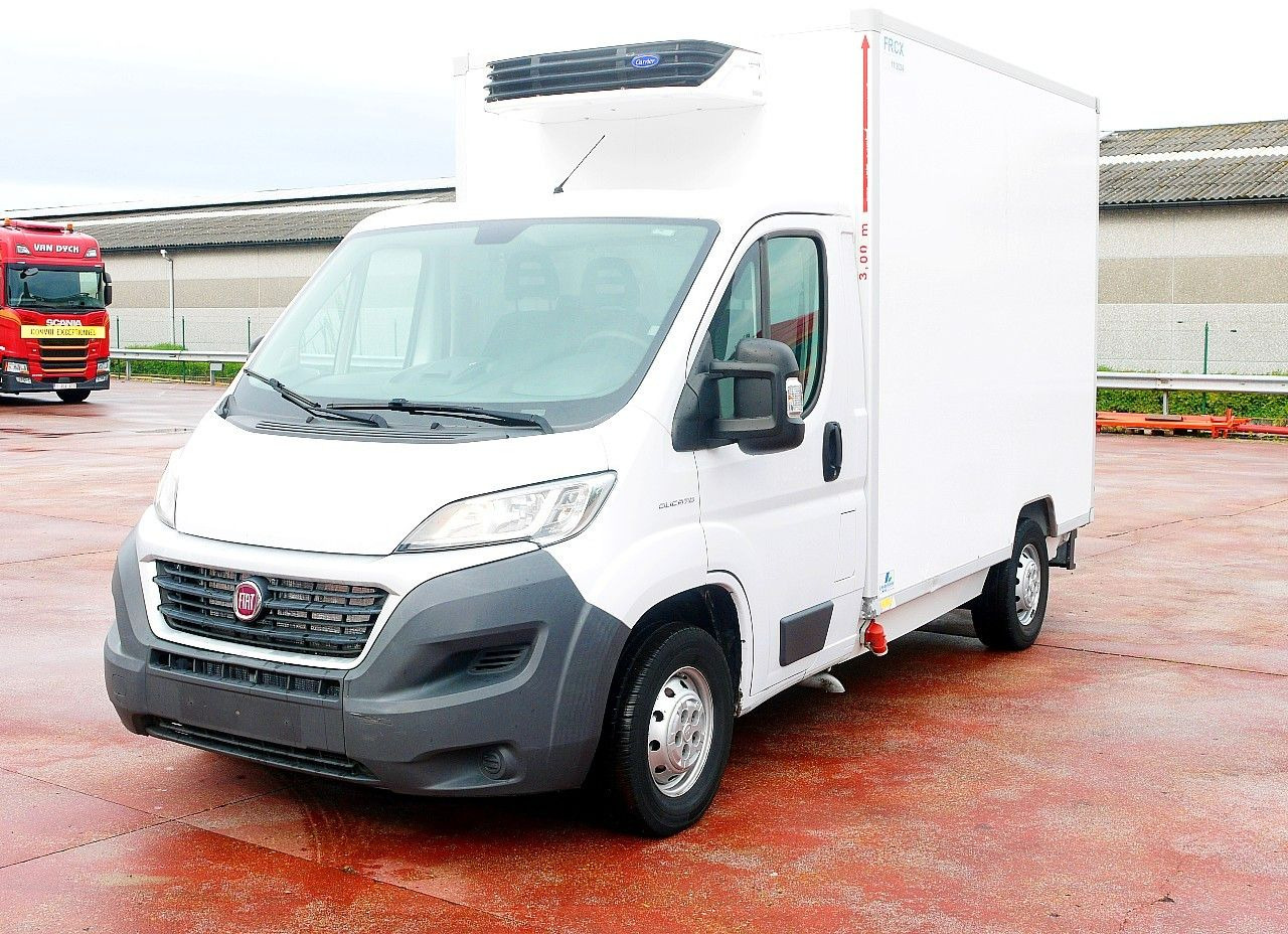 Fiat DUCATO 2.3 KUHLKOFFER FLEISH HAKEN CARRIER -20C - Van berpendingin: gambar 5 Fiat DUCATO 2.3 KUHLKOFFER FLEISH HAKEN CARRIER -20C - Van berpendingin: gambar 5
