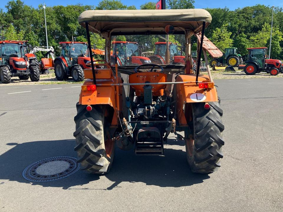 Traktor Fiat 315 Oldtimer mit Mähwerk Baujahr 1968 - Traktor: gambar 3 Traktor Fiat 315 Oldtimer mit Mähwerk Baujahr 1968 - Traktor: gambar 3