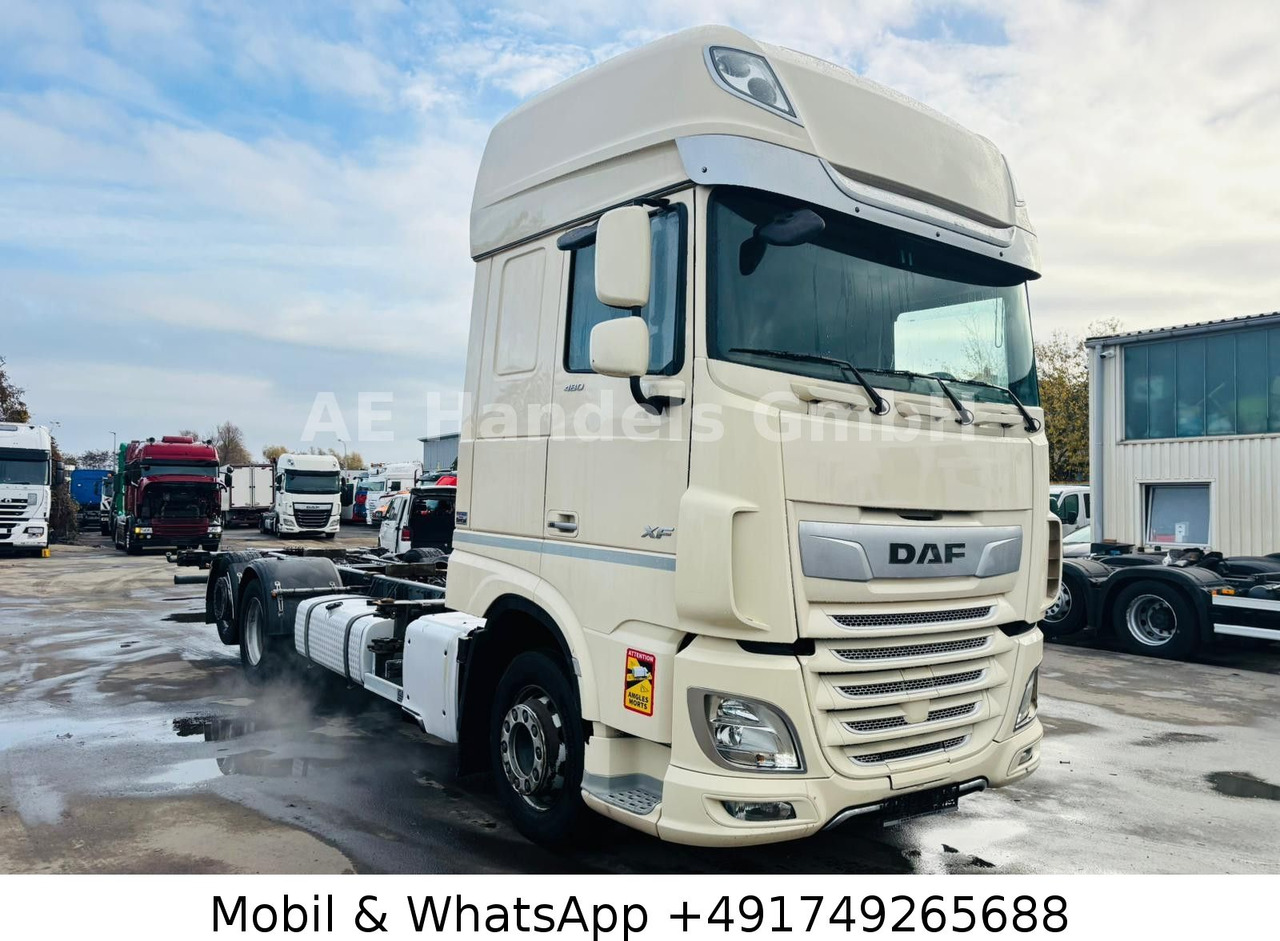 DAF XF 480 SSC LL BDF *Retarder/ACC/Multi/Standklima - Pengangkut kontainer/ Container truck: gambar 1 DAF XF 480 SSC LL BDF *Retarder/ACC/Multi/Standklima - Pengangkut kontainer/ Container truck: gambar 1