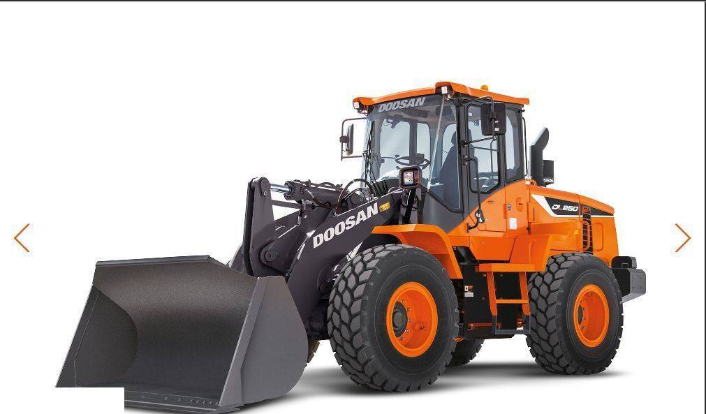 Suku cadang untuk Wheel loader Doosan DL 250 -  Zwolnica - Zwrotnica - Półoś - Skrzynia - Silnik - Siłowniki: gambar 11 Suku cadang untuk Wheel loader Doosan DL 250 -  Zwolnica - Zwrotnica - Półoś - Skrzynia - Silnik - Siłowniki: gambar 11