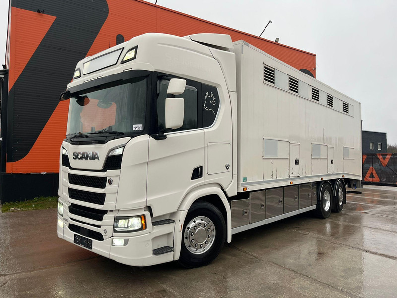 Scania R 580 6x2*4 RETARDER / BOX L=8168 mm - Truk pengangkut hewan: gambar 2 Scania R 580 6x2*4 RETARDER / BOX L=8168 mm - Truk pengangkut hewan: gambar 2