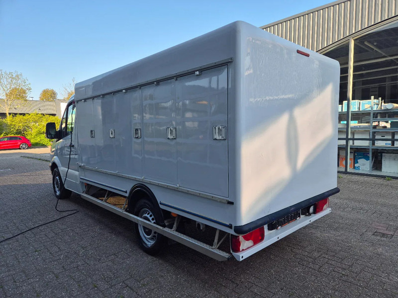 Mercedes-Benz Sprinter 313 CDI 5+5 Turen TIEFFROST -40C Carlsen Baltic E5 - Van berpendingin: gambar 5 Mercedes-Benz Sprinter 313 CDI 5+5 Turen TIEFFROST -40C Carlsen Baltic E5 - Van berpendingin: gambar 5