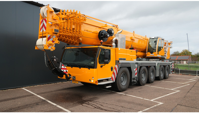 Liebherr LTM 1230-5.1 WITH JIB AVAILABLE FOR RENTAL - Truk derek: gambar 3 Liebherr LTM 1230-5.1 WITH JIB AVAILABLE FOR RENTAL - Truk derek: gambar 3