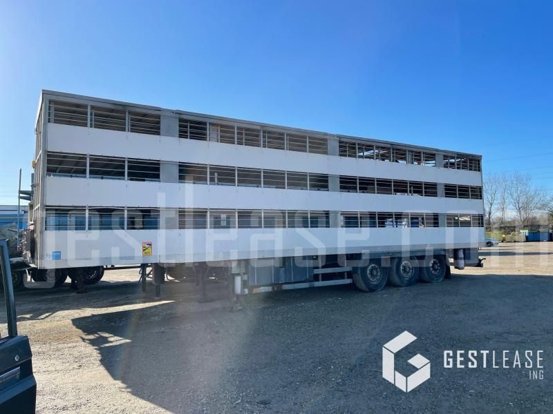 Samro ST39WG - Semi-trailer pengangkut hewan: gambar 1 Samro ST39WG - Semi-trailer pengangkut hewan: gambar 1