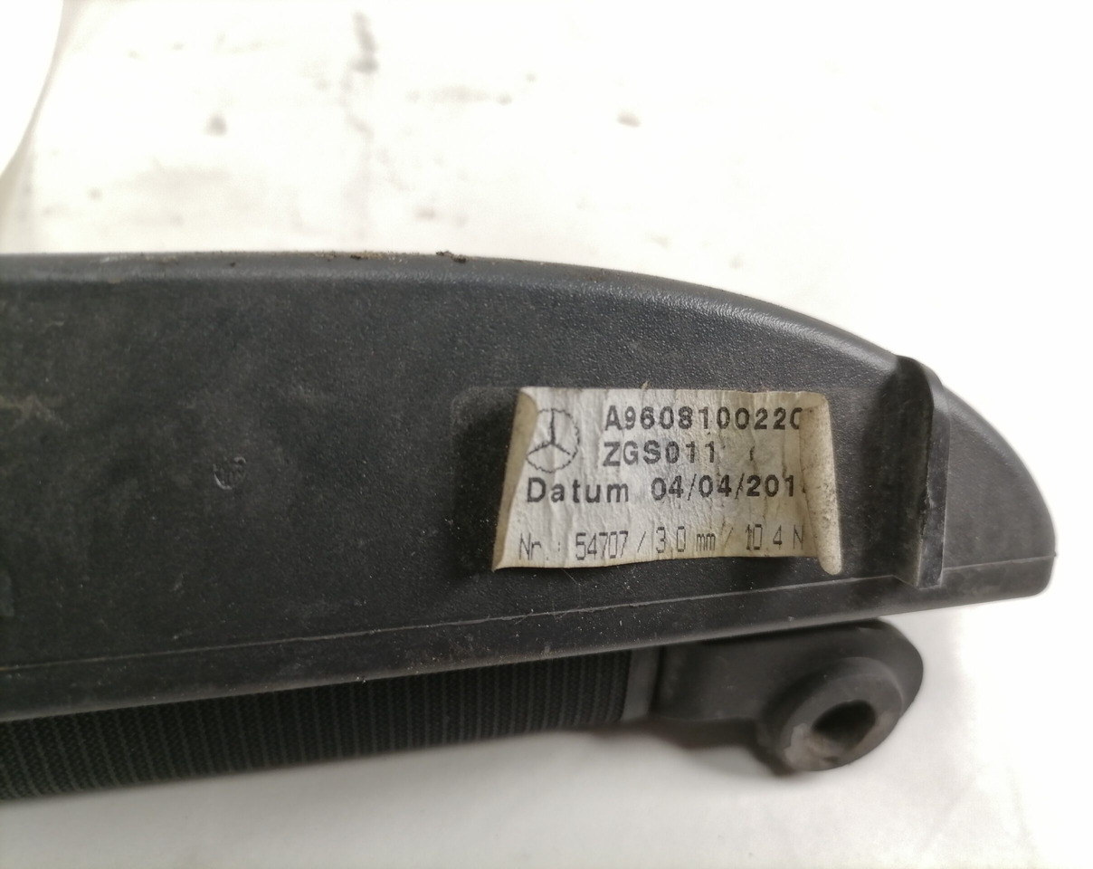 Mercedes-Benz Ruloo A9608100220 - Pintu dan bagian untuk Truk: gambar 4 Mercedes-Benz Ruloo A9608100220 - Pintu dan bagian untuk Truk: gambar 4