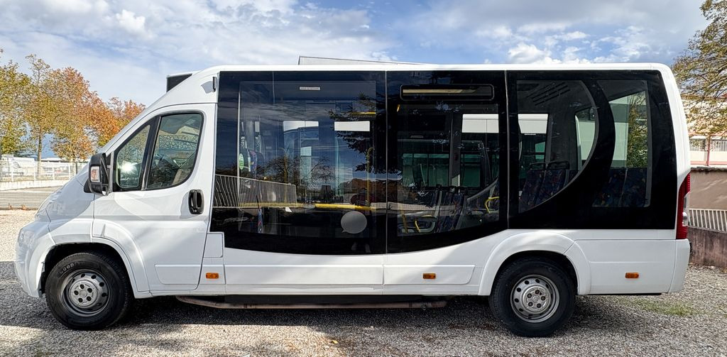 FIAT CITY 21 - Bus kota: gambar 3 FIAT CITY 21 - Bus kota: gambar 3