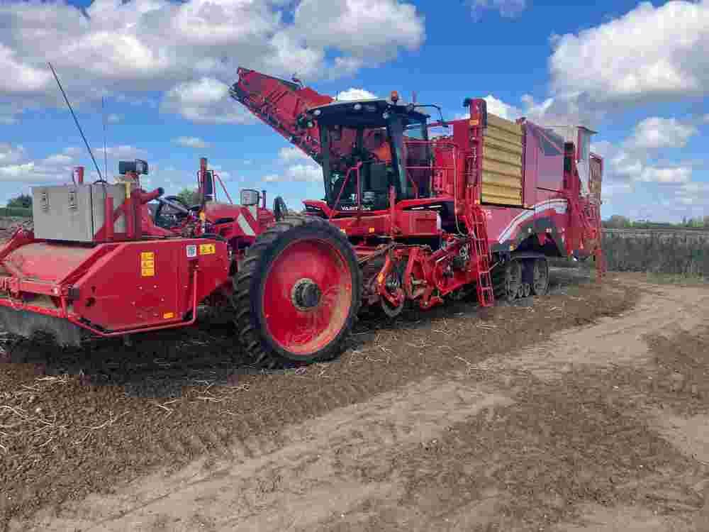 Grimme VARITRON 470 TT GEN III - Mesin pemanen: gambar 1 Grimme VARITRON 470 TT GEN III - Mesin pemanen: gambar 1