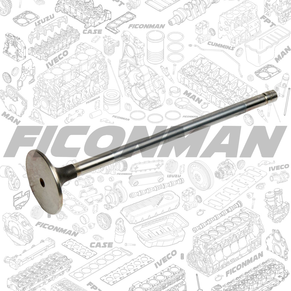FPT IVECO CASE Cursor9 F2CFE614A*B041/F2CGE614F*V004 5802431166 Intake Valve500354685 - Katup: gambar 1 FPT IVECO CASE Cursor9 F2CFE614A*B041/F2CGE614F*V004 5802431166 Intake Valve500354685 - Katup: gambar 1