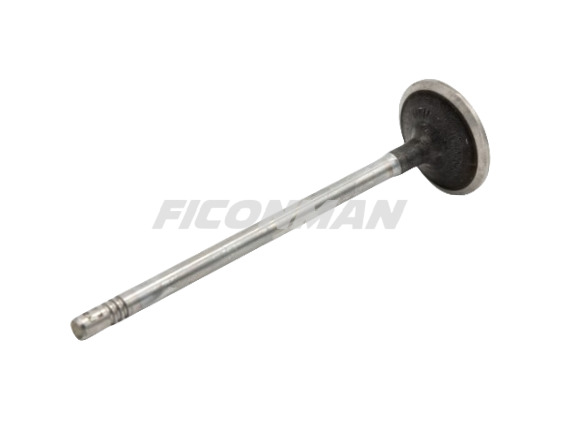 Iveco Daily Fiat Ducato F1C Intake Valve 504072531 504238926 - Katup untuk Van pengiriman: gambar 1 Iveco Daily Fiat Ducato F1C Intake Valve 504072531 504238926 - Katup untuk Van pengiriman: gambar 1
