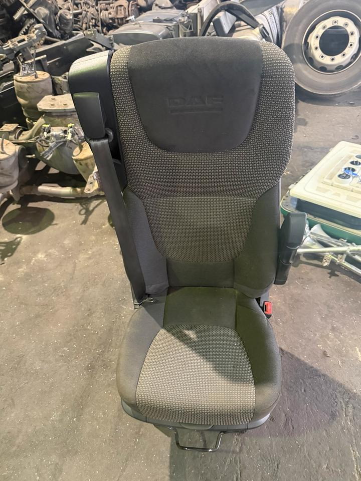 DAF XF 460 Euro6 Beifahrersitz - Tempat duduk untuk Truk: gambar 1 DAF XF 460 Euro6 Beifahrersitz - Tempat duduk untuk Truk: gambar 1