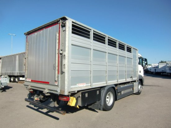 MAN TGS 18.420 Tiertransporter,Euro 6, Manual Seilwinde, el. Ladebordwand Voll Luft - Truk pengangkut kuda: gambar 4 MAN TGS 18.420 Tiertransporter,Euro 6, Manual Seilwinde, el. Ladebordwand Voll Luft - Truk pengangkut kuda: gambar 4