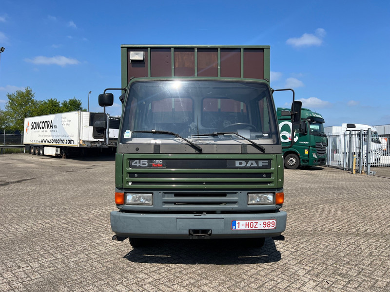 DAF 45.160 - Truk pengangkut kuda: gambar 2 DAF 45.160 - Truk pengangkut kuda: gambar 2