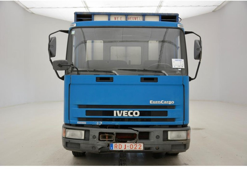 Iveco 65E14 - Truk pengangkut hewan: gambar 2 Iveco 65E14 - Truk pengangkut hewan: gambar 2