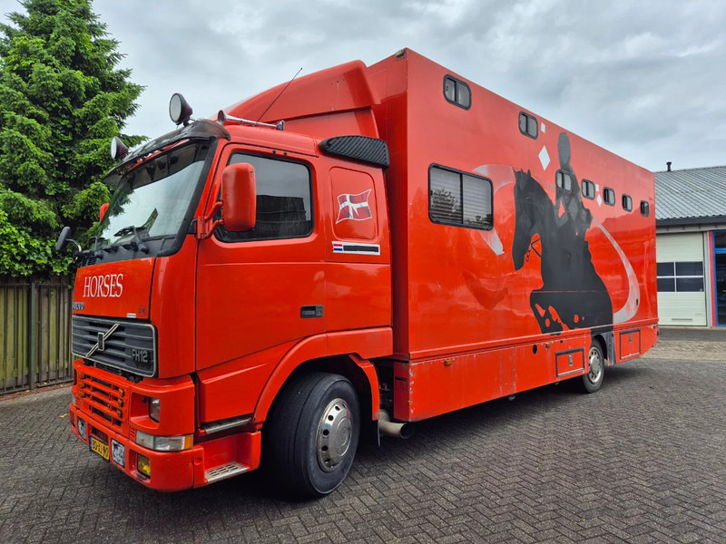 Volvo FH 12.. 380pk luchtgeveerd voor en achteras - Truk pengangkut kuda: gambar 1 Volvo FH 12.. 380pk luchtgeveerd voor en achteras - Truk pengangkut kuda: gambar 1