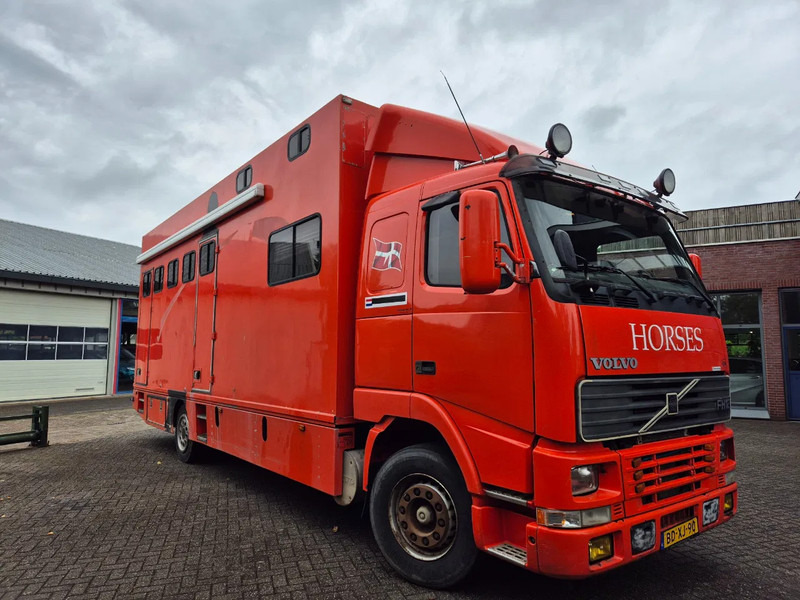 Volvo FH 12.. 380pk luchtgeveerd voor en achteras - Truk pengangkut kuda: gambar 4 Volvo FH 12.. 380pk luchtgeveerd voor en achteras - Truk pengangkut kuda: gambar 4