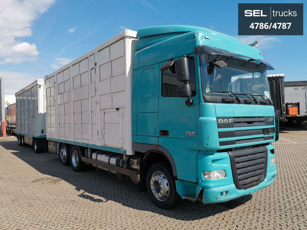 DAF XF 105.460 / Intarder / 4 Stock / KOMPLETT ! DAF XF 105.460 / Intarder / 4 Stock / KOMPLETT ! - Truk pengangkut hewan: gambar 4 DAF XF 105.460 / Intarder / 4 Stock / KOMPLETT ! DAF XF 105.460 / Intarder / 4 Stock / KOMPLETT ! - Truk pengangkut hewan: gambar 4
