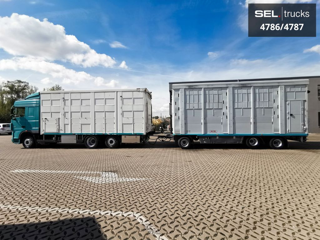 DAF XF 105.460 / Intarder / 4 Stock / KOMPLETT ! - Truk pengangkut hewan: gambar 1 DAF XF 105.460 / Intarder / 4 Stock / KOMPLETT ! - Truk pengangkut hewan: gambar 1