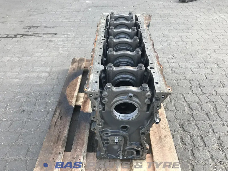 Renault C/K/T-Serie Motorblok Renault 7421236687 - Suku Cadang Mesin untuk Truk: gambar 4 Renault C/K/T-Serie Motorblok Renault 7421236687 - Suku Cadang Mesin untuk Truk: gambar 4