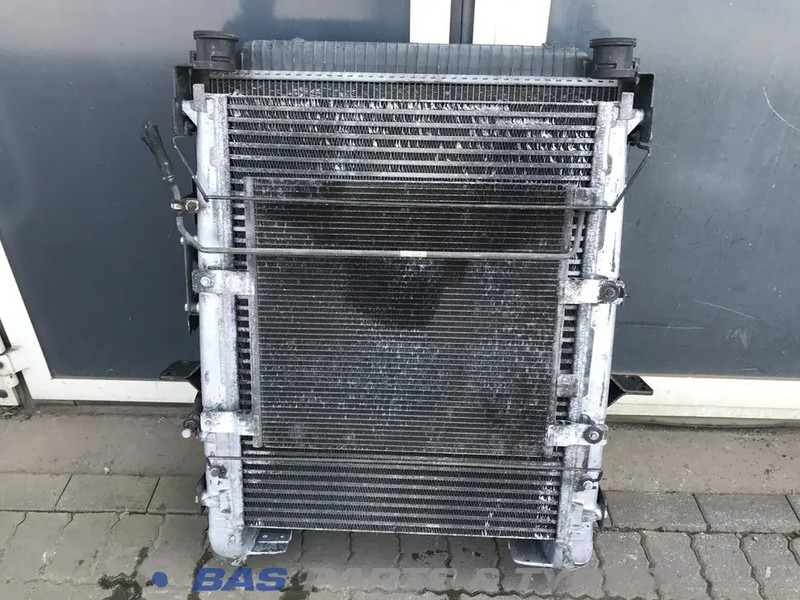 Renault D-Serie - Radiator untuk Truk: gambar 2 Renault D-Serie - Radiator untuk Truk: gambar 2