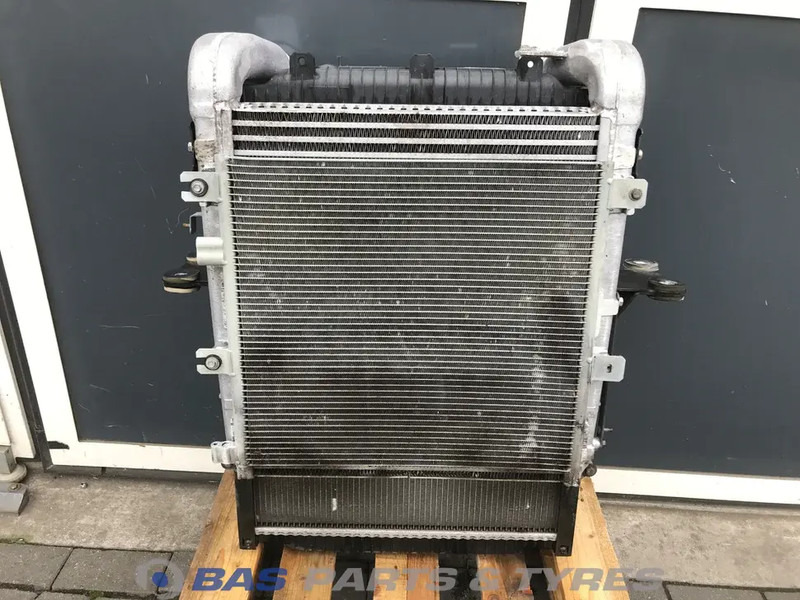 Renault D-Serie - Radiator untuk Truk: gambar 2 Renault D-Serie - Radiator untuk Truk: gambar 2