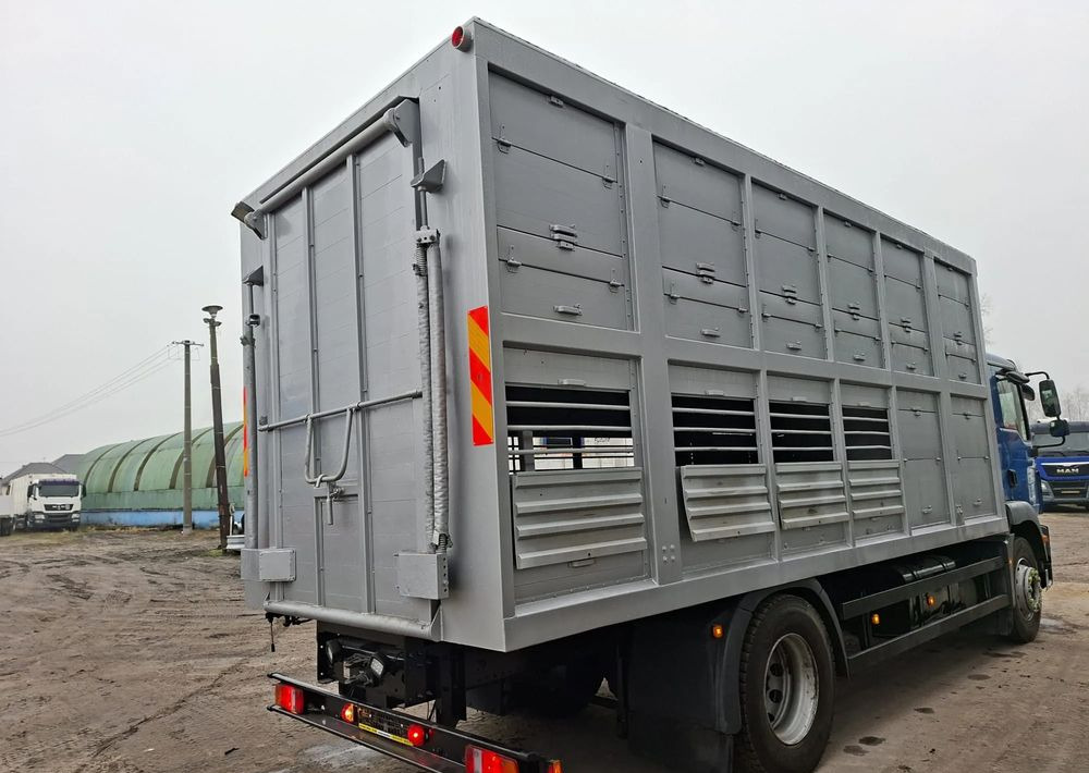 MAN TGM 18.250 4x2 DO ŻYWCA - Truk pengangkut hewan: gambar 5 MAN TGM 18.250 4x2 DO ŻYWCA - Truk pengangkut hewan: gambar 5