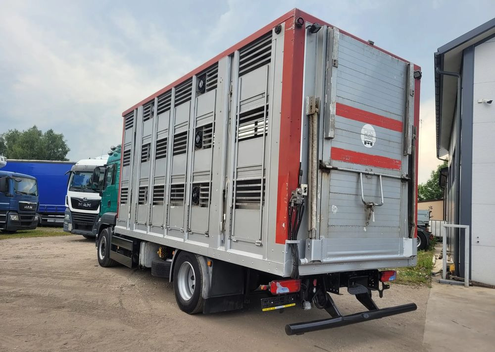 MAN TGS 18.400 Euro 6 do żywca - Truk pengangkut hewan: gambar 3 MAN TGS 18.400 Euro 6 do żywca - Truk pengangkut hewan: gambar 3