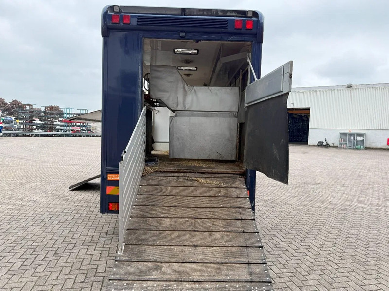 Mercedes-Benz Atego 1223 / ENGINE RUNNING / ONLY:159450 KM / HORSETRUCK / HEATED BOX / WATERTANK / LIVING ROOM / EURO-2 / MANUAL / 1998 - Truk pengangkut kuda: gambar 5 Mercedes-Benz Atego 1223 / ENGINE RUNNING / ONLY:159450 KM / HORSETRUCK / HEATED BOX / WATERTANK / LIVING ROOM / EURO-2 / MANUAL / 1998 - Truk pengangkut kuda: gambar 5