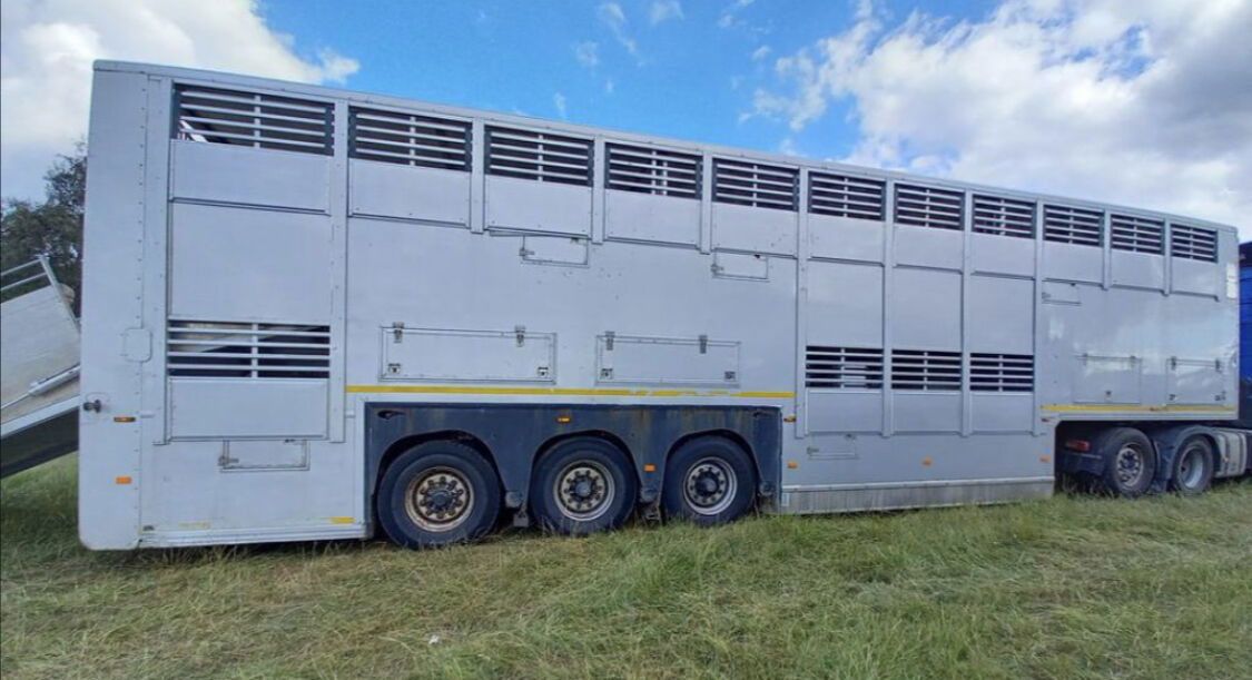 GRAY & ADAMS Gadd3 / Works Great / Hydraulic / 2 Levels - Semi-trailer pengangkut hewan: gambar 1 GRAY & ADAMS Gadd3 / Works Great / Hydraulic / 2 Levels - Semi-trailer pengangkut hewan: gambar 1